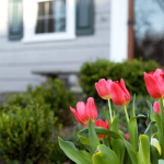 Spring Sellers Have an Edge - Here’s Why